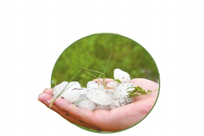 冰雹化了一些,還有這么大。