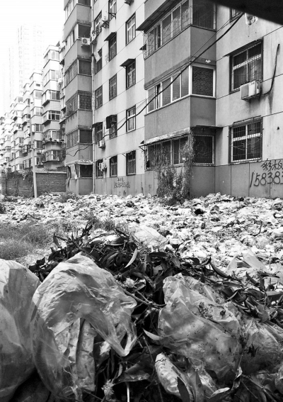 透過(guò)擋板縫向內(nèi)看，30多米垃圾已經(jīng)將居民樓包圍。