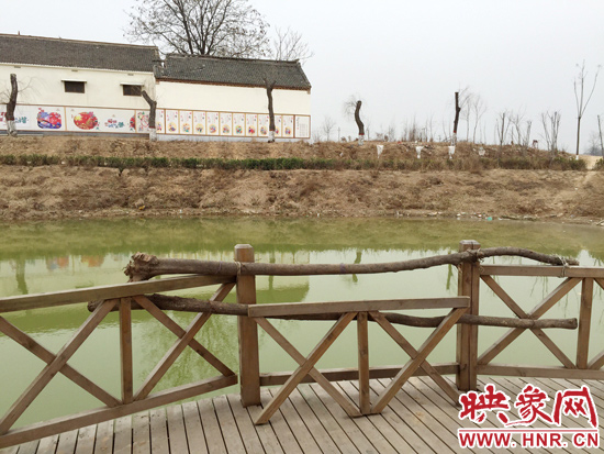 護(hù)欄損毀的地方，已經(jīng)被兩根樹干擋住。