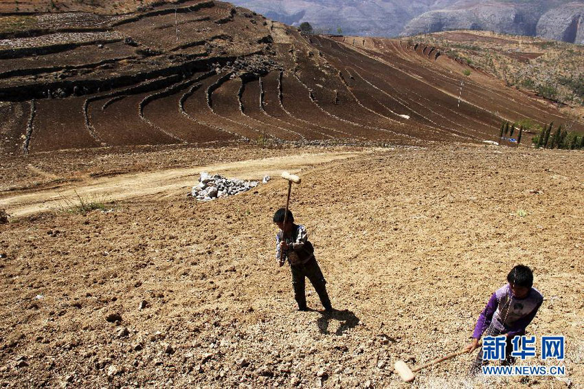 3月16日，在貴州省畢節(jié)市威寧縣斗古鄉(xiāng)中關(guān)村，兩個(gè)孩子幫助家人在干旱的土地上勞動(dòng)。