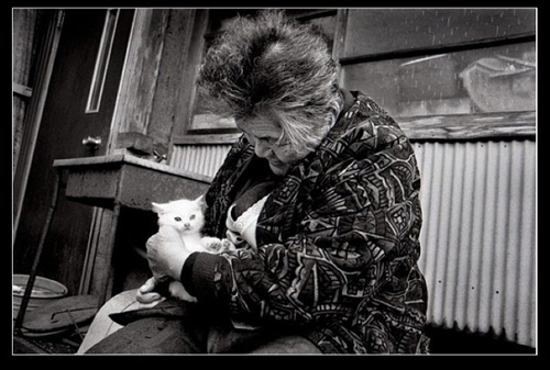 哺乳 祖母與貓的溫情世界 哺乳 祖母與貓的溫情世界