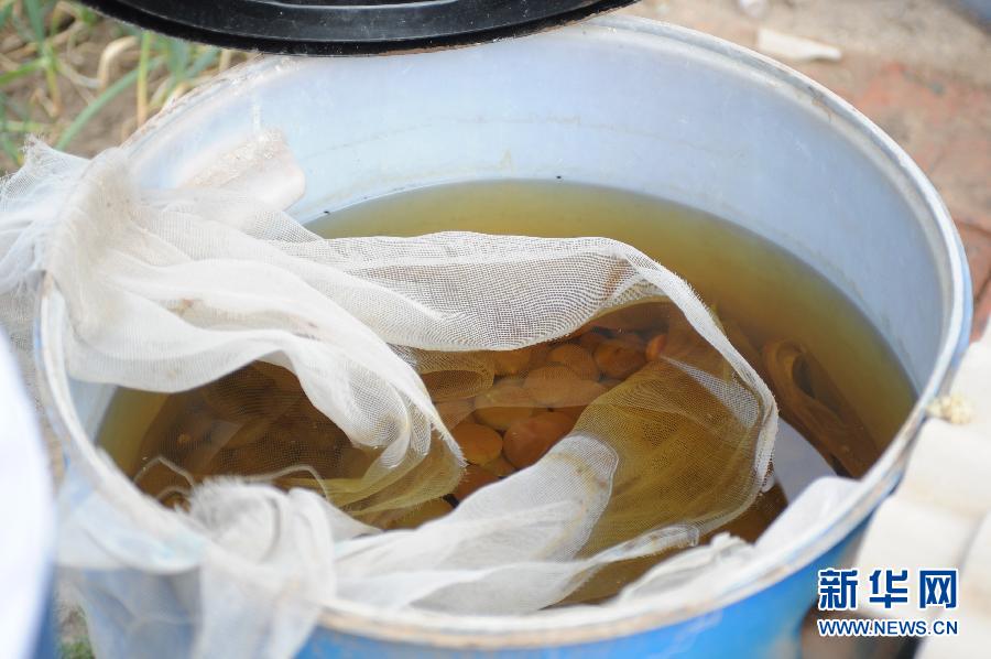 地下水成“綠茶”　污染二十多年該誰(shuí)治？