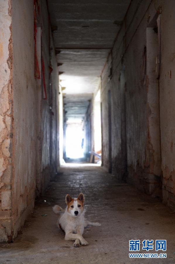 農(nóng)場(chǎng)棚戶區(qū)的最后留守家庭：留下的是回憶，迎來的是幸福