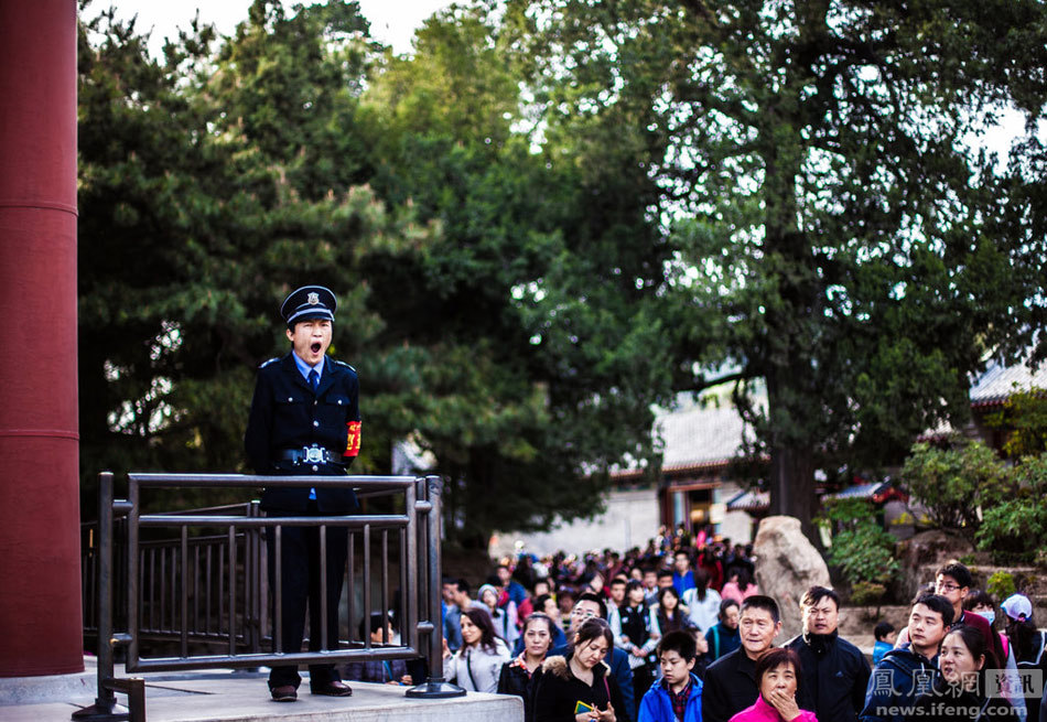 生活在城市 生活在城市
