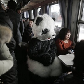 旅客扮熊貓體驗(yàn)春運(yùn)