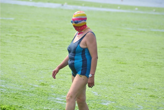 2013年7月3日，山東青島青島高溫來襲，“青島大媽”不懼滸苔，戴著“強(qiáng)盜面具”出現(xiàn)在海水浴場消暑降