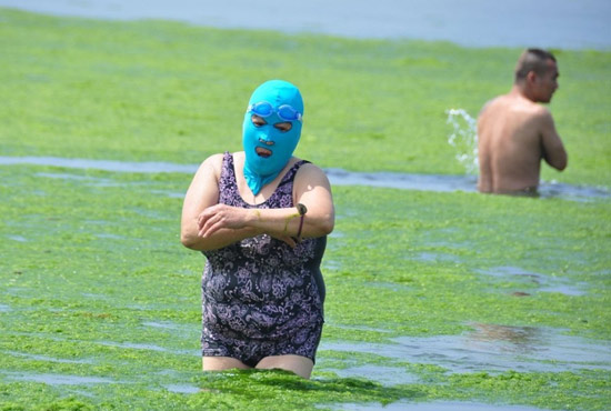 2013年7月3日，山東青島青島高溫來襲，“青島大媽”不懼滸苔，戴著“強(qiáng)盜面具”出現(xiàn)在海水浴場消暑降