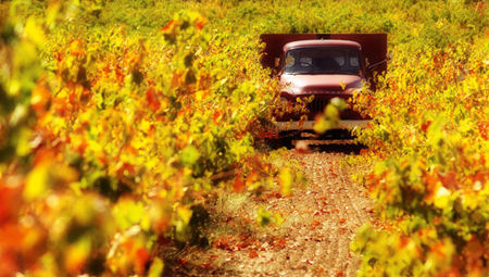 年底出境游計(jì)劃 讓美景犒賞一年的辛苦 年底出境游計(jì)劃 讓美景犒賞一年的辛苦