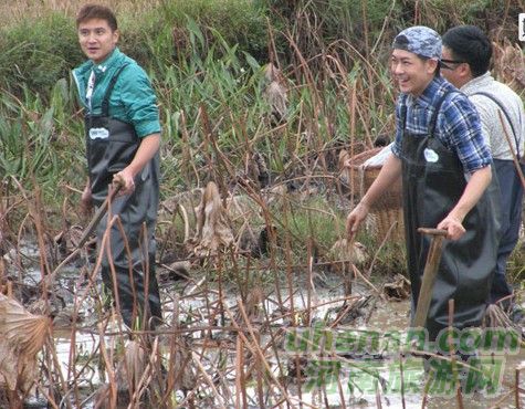 爸爸去哪兒？親密接觸荷花仙子