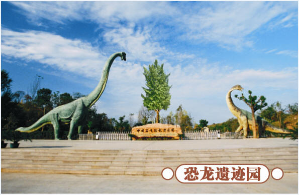 圣誕去哪兒？省內(nèi)歡樂地推薦