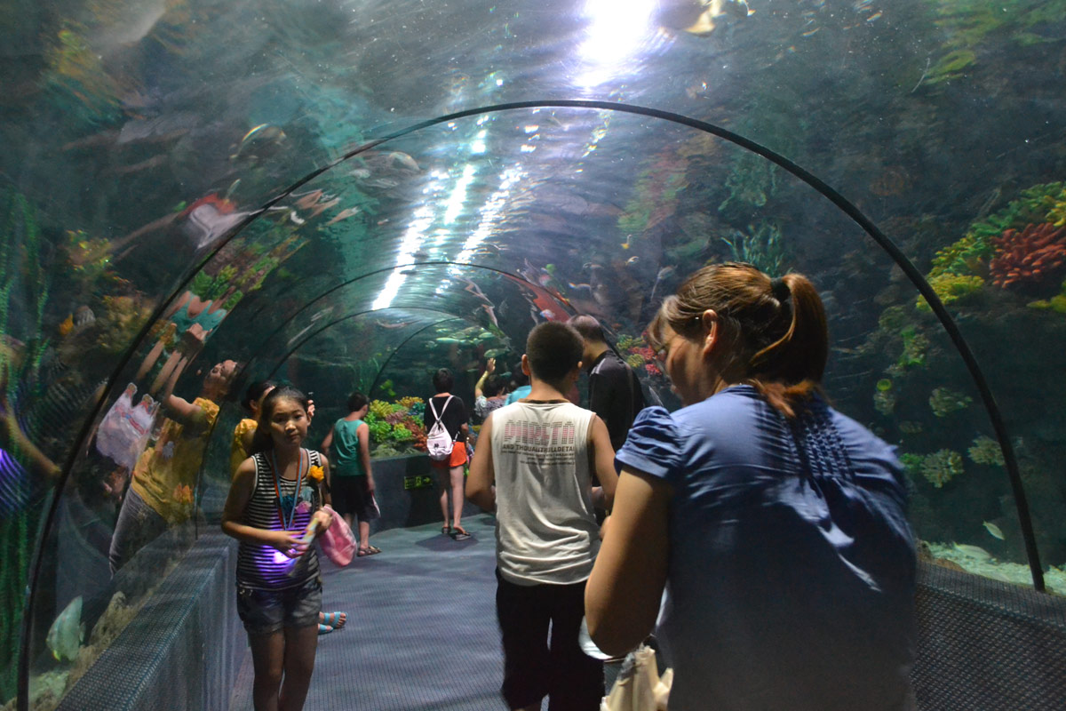 春節(jié)去哪兒？出游地圖告訴您！