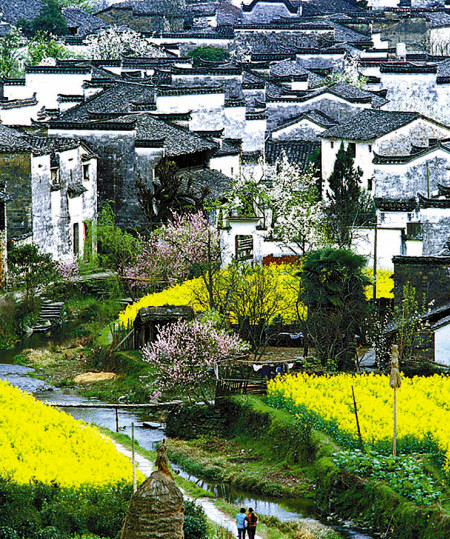 如何拍攝油菜花？達(dá)人教你7個(gè)拍攝技巧