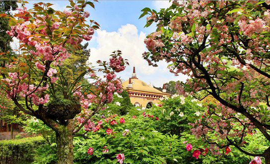 麻辣冬日二三五，芳菲三月看峨眉