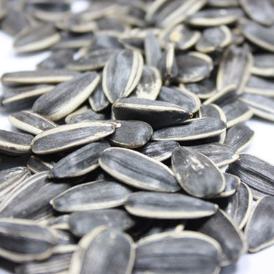 出國(guó)旅游海關(guān)檢查有講究 啥能帶啥不能帶？