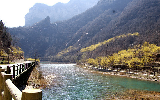 有一種呼喚，叫春天里的蟒河！