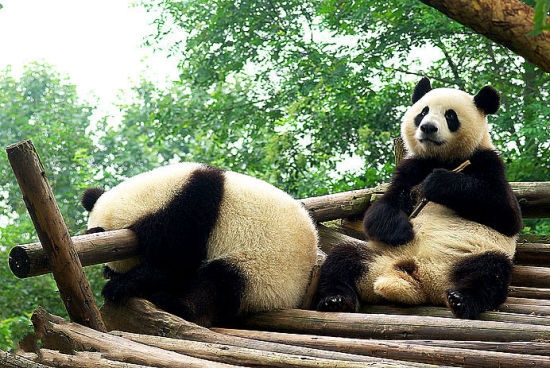 清明過后去哪玩 4月國內(nèi)抄底游推薦 清明過后去哪玩 4月國內(nèi)抄底游推薦