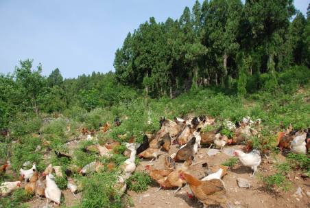 旅游真奇妙 這些事你知道嗎？