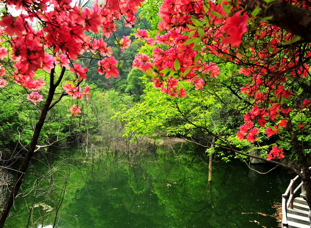 母親節(jié)河南景區(qū)優(yōu)惠大波來襲！