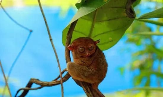 適合在冬天旅游的十個(gè)絕美海島！