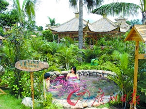 溫泉區(qū)樹(shù)木蔥蔥。