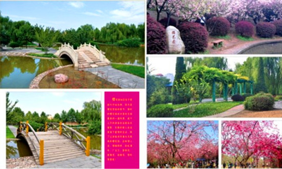 周末賞花歡樂行 鄭州世紀歡樂園 周末賞花歡樂行 鄭州世紀歡樂園