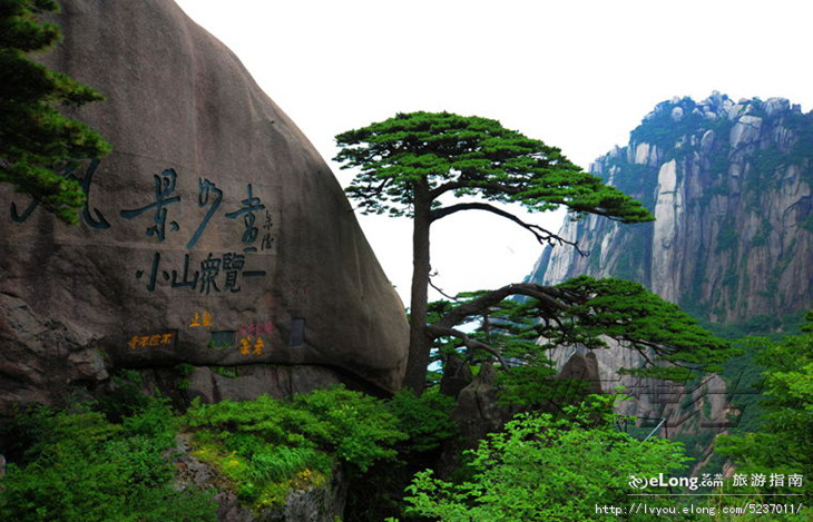 綠色黃山 綠色黃山
