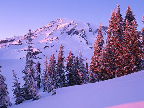 華盛頓，雷尼爾山