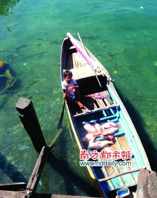 漁船上的孩子。