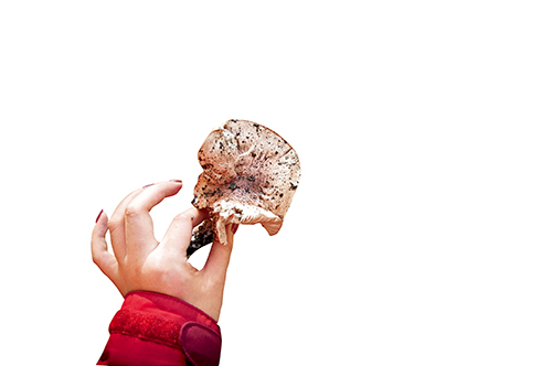 喜馬拉雅 徒步者的朝圣之路 喜馬拉雅 徒步者的朝圣之路