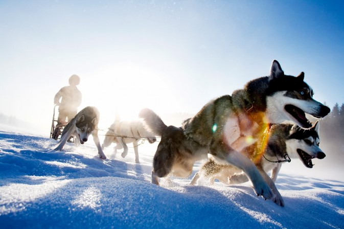 冬季貝加爾,適合享受冰上運(yùn)動(dòng),狗拉雪橇、雪上摩托車、雪地徒步等都是不錯(cuò)的選擇 F5.6,1/115秒
