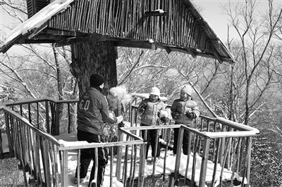 　　clubmed里有來自國(guó)外的滑雪教練教兒童滑雪?！? oldsrc=