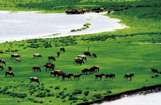 　　處處翠色欲流,馬兒自然入畫?！? complete=