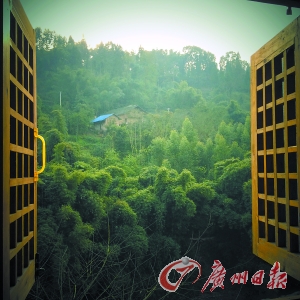 推窗滿目綠樹來(lái) 臥聽(tīng)靜夜溪流吟