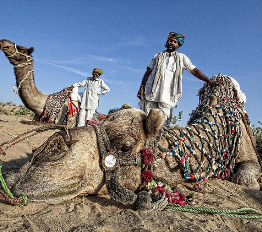 全家出國(guó)游去哪里？推薦十佳旅游勝地