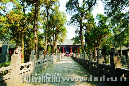 國(guó)際博物館日洛陽(yáng)多家博物館免費(fèi)開(kāi)放