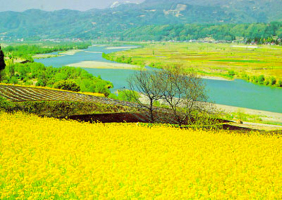 信陽(yáng)舉行“捷安特杯”美麗鄉(xiāng)村全國(guó)單車(chē)嘉年華