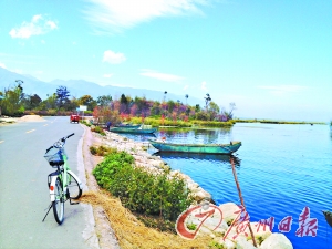 洱海的藍讓人沉醉。