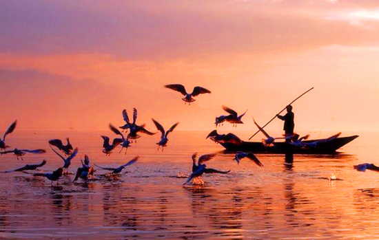 冬季正是觀鳥時 省內(nèi)觀鳥地盤點 冬季正是觀鳥時 省內(nèi)觀鳥地盤點