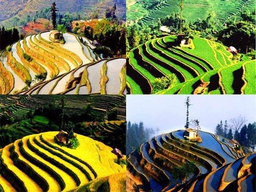 10處賞春采風(fēng)地 拍出2013年的明媚春光 10處賞春采風(fēng)地 拍出2013年的明媚春光