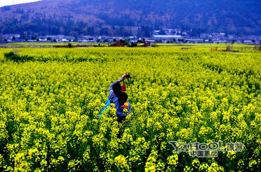 　　不論從人文氣息還是田園自然風(fēng)光,都值得我們?？俊?圖片來源:CFP)