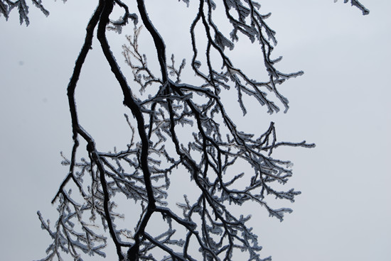 堯山景區(qū) 拍攝日期:4月20日 堯山景區(qū) 拍攝日期:4月20日