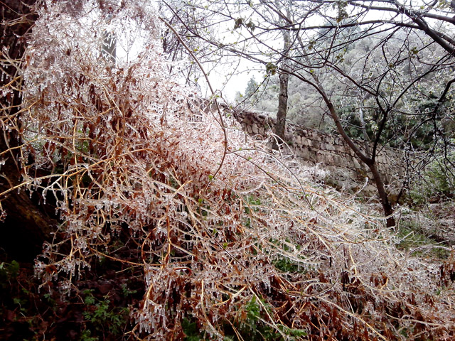 陽(yáng)春三月 在龍峪灣做一回“冰山上的來(lái)客” 陽(yáng)春三月 在龍峪灣做一回“冰山上的來(lái)客”
