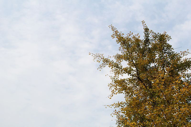 初冬旅游正此時(shí) 騎行走進(jìn)黃河風(fēng)景名勝區(qū) 初冬旅游正此時(shí) 騎行走進(jìn)黃河風(fēng)景名勝區(qū)