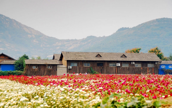 別樣蜜月，河南最適宜新婚度假的景區(qū)