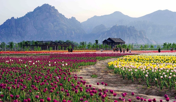 別樣蜜月，河南最適宜新婚度假的景區(qū)