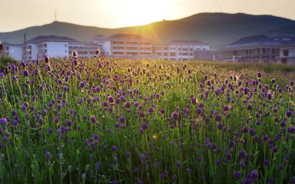 別樣蜜月，河南最適宜新婚度假的景區(qū)