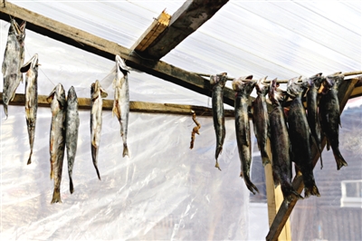 長白山腳下一家小餐館內(nèi)晾曬的冷水魚。