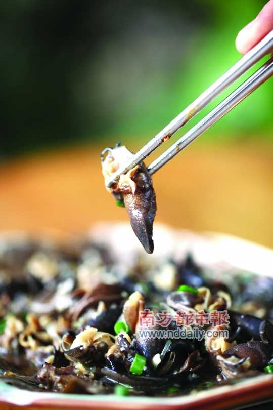 蒜蓉粉絲蒸蝸牛。