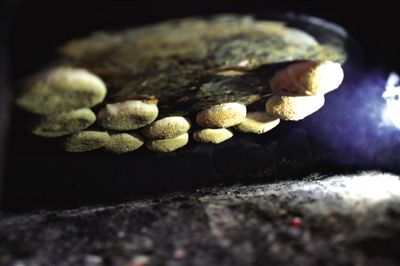 吊爐燒餅是黃驊最典型的面食之一，這種手藝在一些老院子里已經(jīng)傳承了上百年時間。