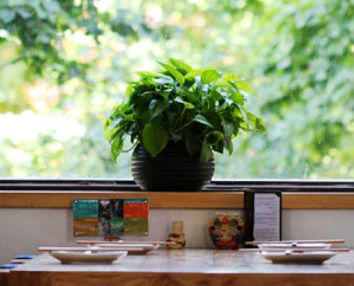 一坐一忘麗江主題餐廳 獨(dú)門(mén)漆油雞